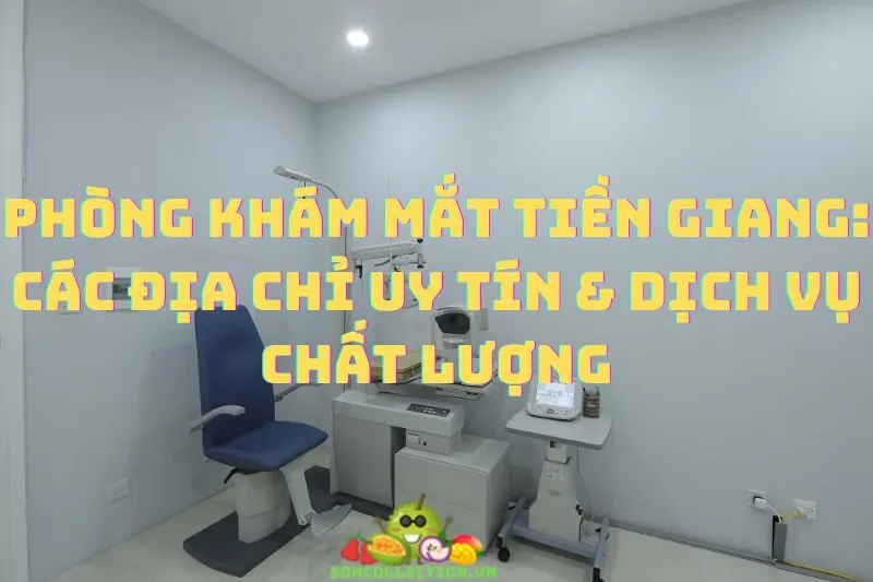 Phòng Khám Mắt Tiền Giang: Các Địa Chỉ Uy Tín & Dịch Vụ Chất Lượng