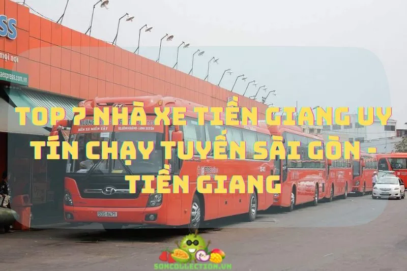 Top 7 Nhà Xe Tiền Giang Uy Tín Chạy Tuyến Sài Gòn - Tiền Giang