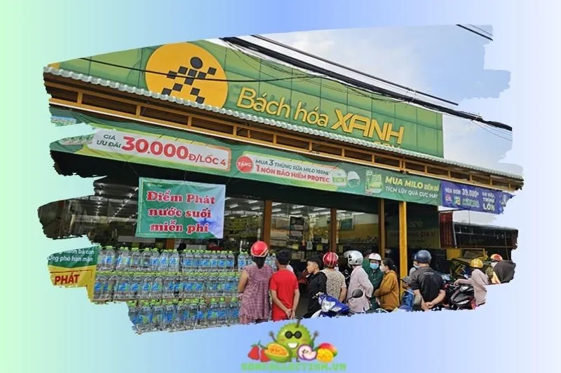Bách Hóa Xanh