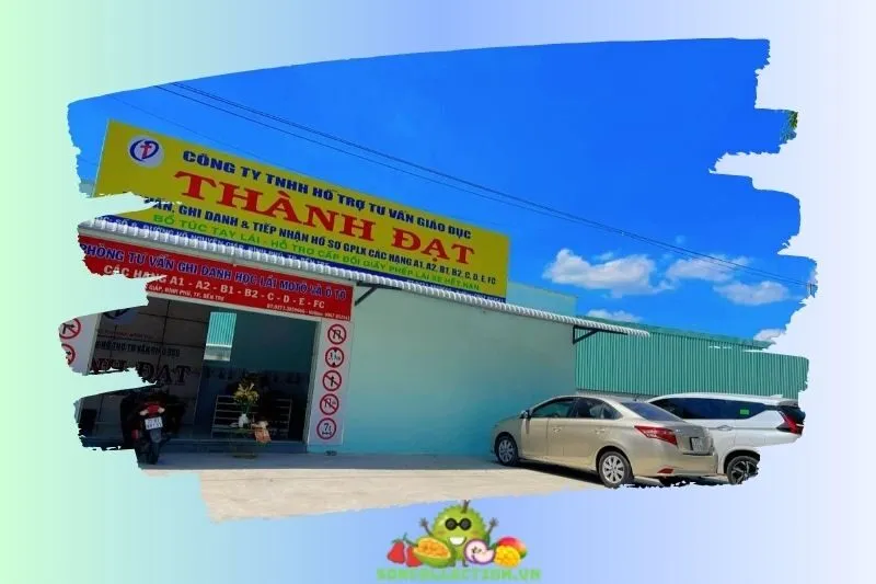 Dạy lái xe Thành Đạt - Tiền Giang