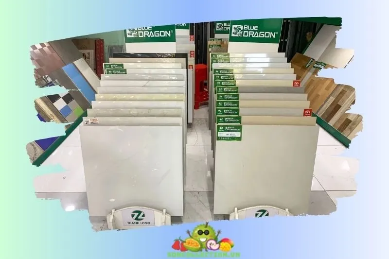 Gạch Men Hòa Phát