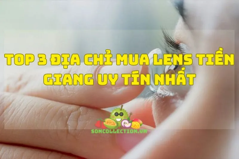 Top 3 Địa Chỉ Mua Lens Tiền Giang Uy Tín Nhất