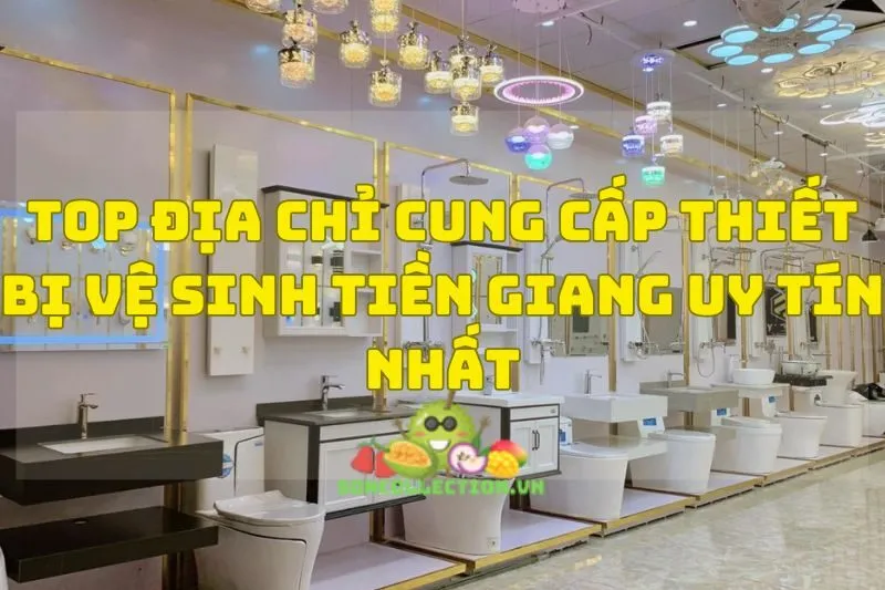 Top Địa Chỉ Cung Cấp Thiết Bị Vệ Sinh Tiền Giang Uy Tín Nhất