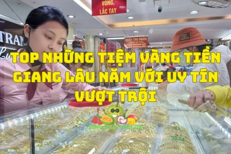Top Những Tiệm Vàng Tiền Giang Lâu Năm Với Uy Tín Vượt Trội