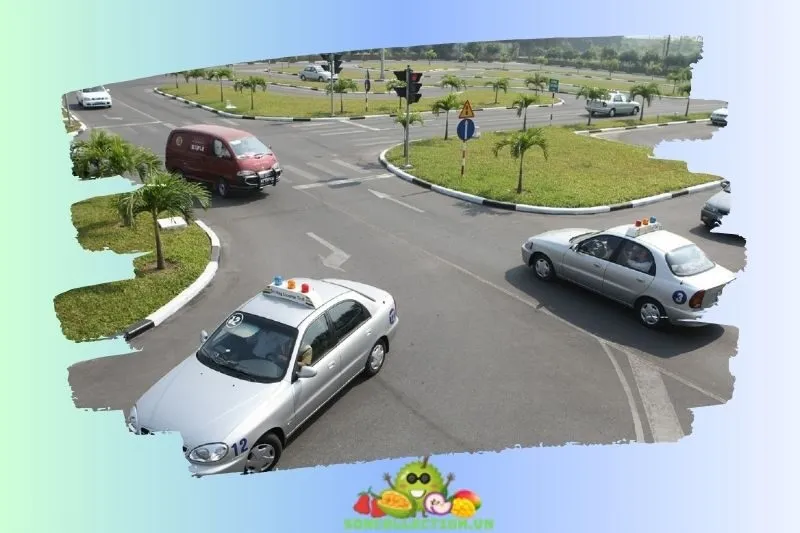 Trường dạy lái xe 3T Tiền Giang