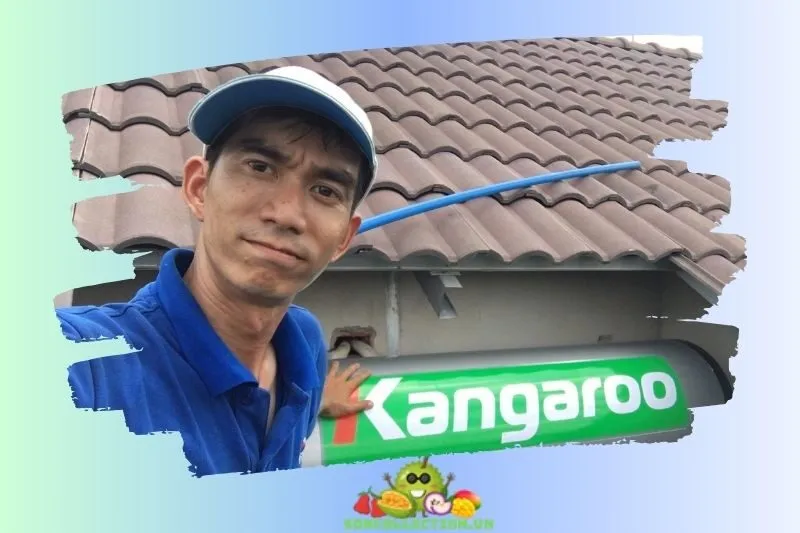 Sửa Chữa Điện Máy Mỹ Tho Tiền Giang