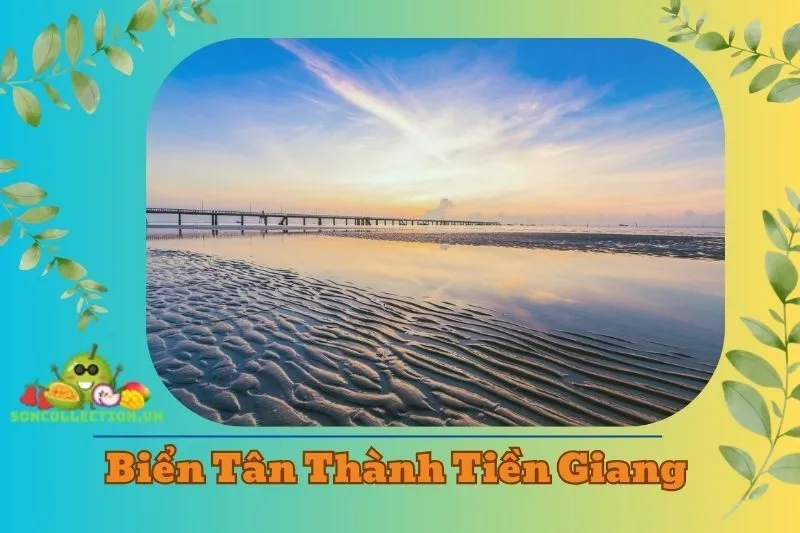 Biển Tân Thành Tiền Giang 2025 - Những Điểm Du Lịch Nổi Bật