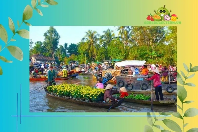 Các Điểm Du Lịch Gần Cù Lao Tân Phong