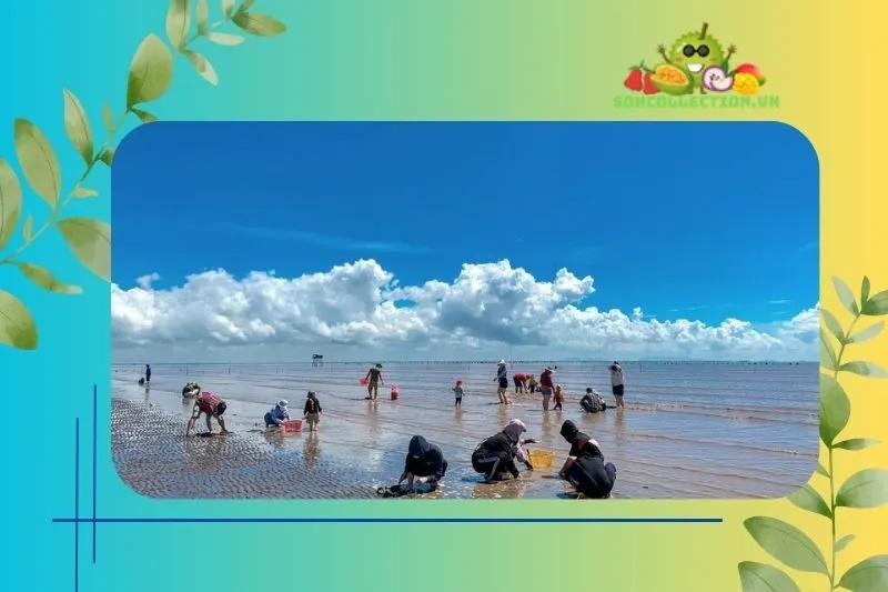 Chi phí du lịch Biển Tân Thành Tiền Giang