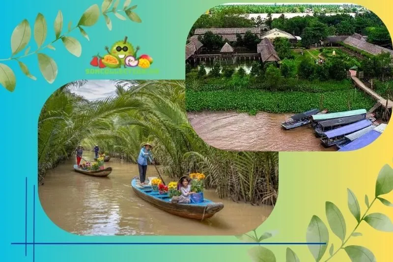 Cù Lao Tân Phong – Địa Điểm Du Lịch Nổi Tiếng tại Tiền Giang