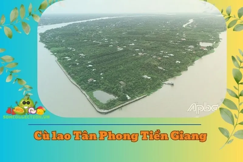 Cù lao Tân Phong Tiền Giang 2025: Khám Phá Điểm Du Lịch Hấp Dẫn