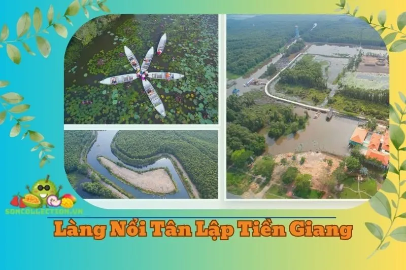 Khám Phá Làng Nổi Tân Lập Tiền Giang 2025 Kinh Nghiệm Chi Tiết