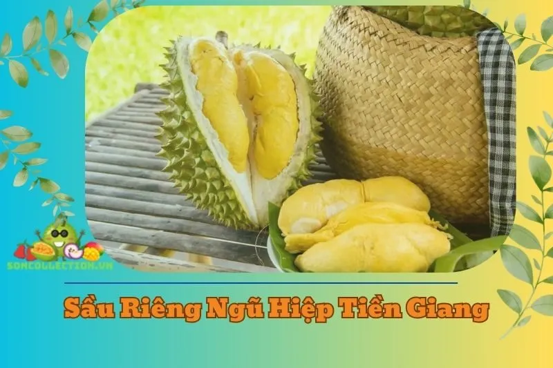 Khám phá sầu riêng Ngũ Hiệp Tiền Giang 2025: Nguồn gốc, giá cả
