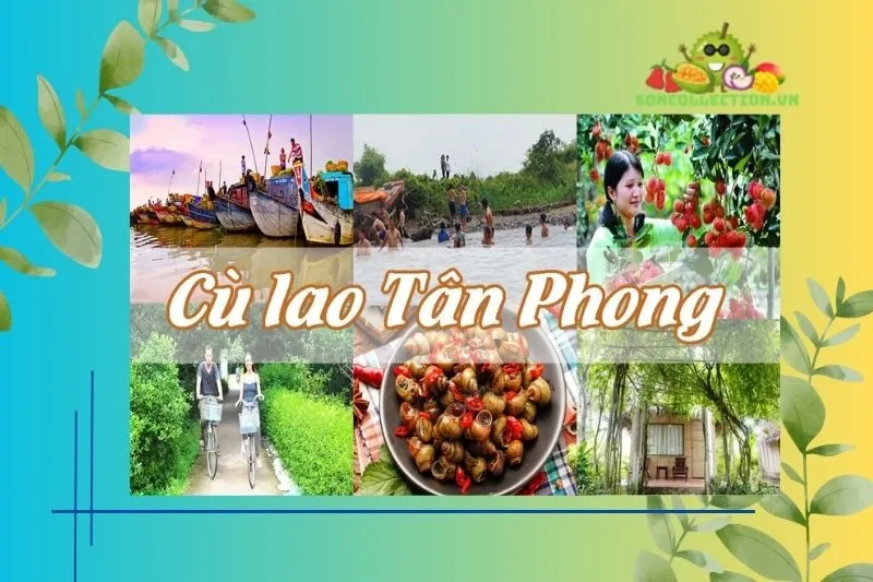 Những Điều Cần Biết Khi Du Lịch Cù Lao Tân Phong Tiền Giang