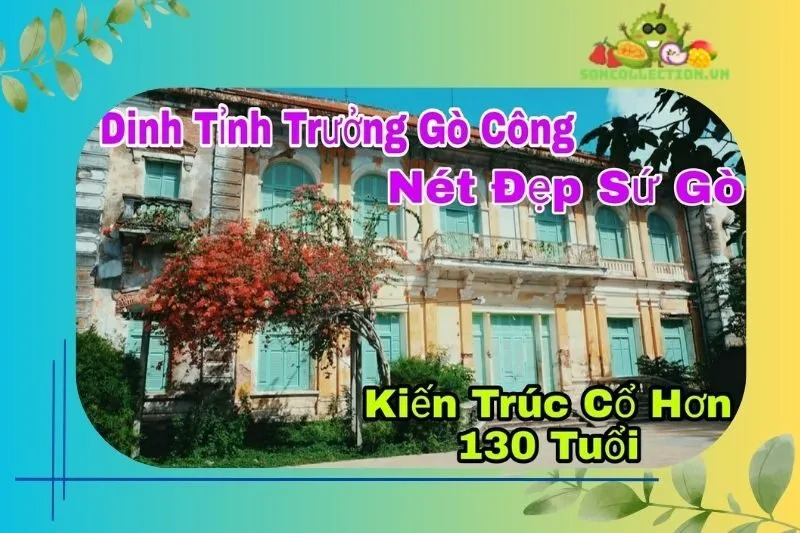 Những hoạt động thú vị khi tham quan Dinh Tỉnh trưởng Gò Công