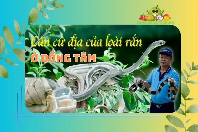 Những Lưu Ý Khi Tham Quan Trại Rắn Đồng Tâm