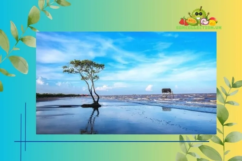 Những món ăn đặc sản không thể bỏ qua khi đến Biển Tân Thành