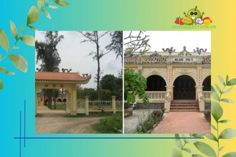 Điểm Nổi Bật Của Lăng mộ Hoàng Gia