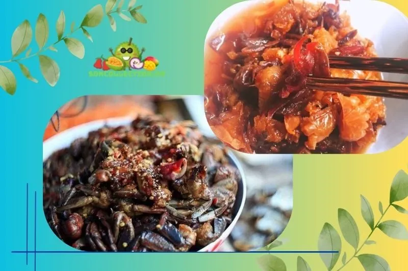 Tìm hiểu về đặc sản mắm còng Gò Công Tiền Giang