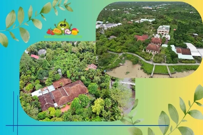 Tổng Quan Về Làng Cổ Đông Hòa Hiệp Tiền Giang
