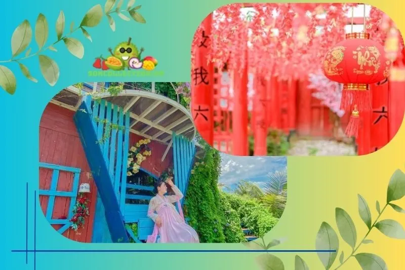 Tổng Quan về Phim trường Bách Nhật Hoa Viên Tiền Giang