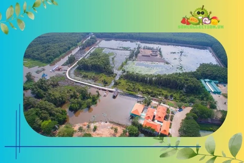 Hướng Dẫn Cách Di Chuyển Đến Làng Nổi Tân Lập Từ TP.HCM