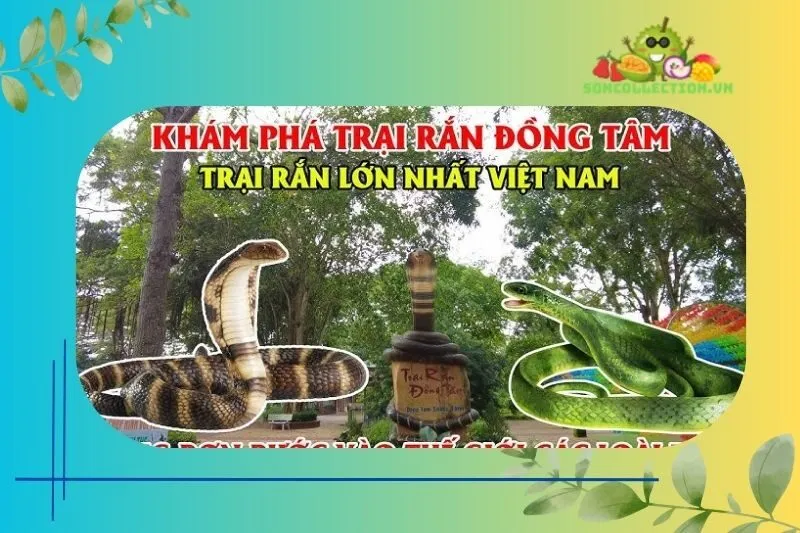 Trại rắn Đồng Tâm Tiền Giang