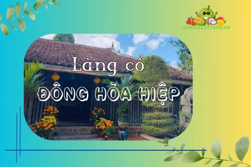 Văn Hóa Và Lễ Hội Đặc Sắc Tại Làng Cổ Đông Hòa Hiệp