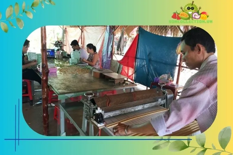 Các hoạt động thú vị tại Cồn