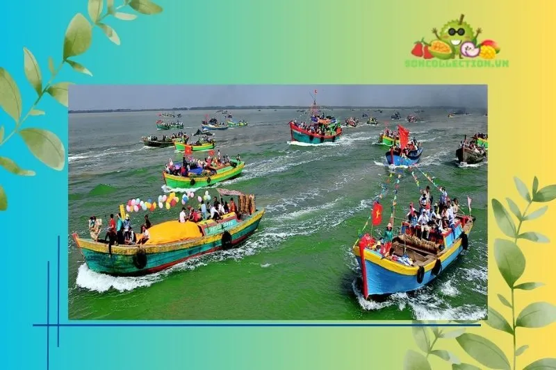 Các hoạt động trong Lễ hội