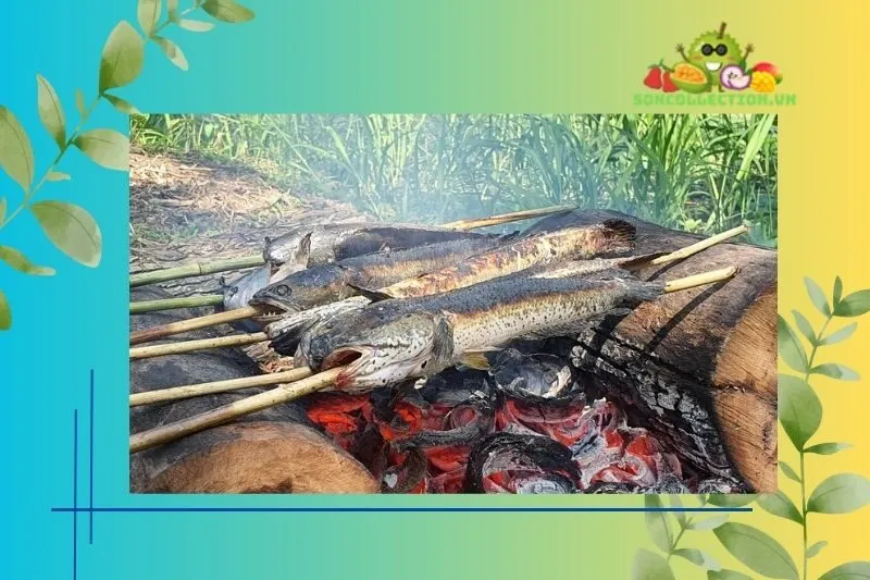 Cách chế biến