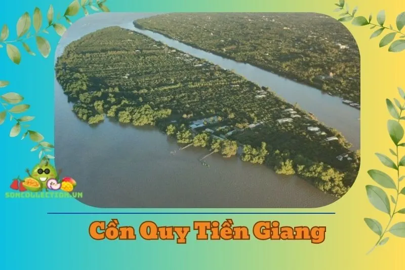 Cồn Quy Tiền Giang