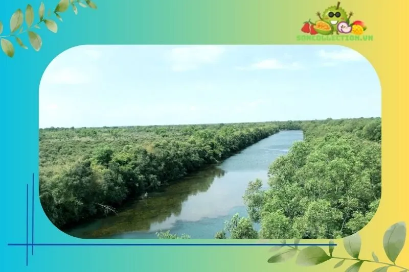 Đa dạng sinh học tại Khu bảo tồn sinh thái Đồng Tháp Mười