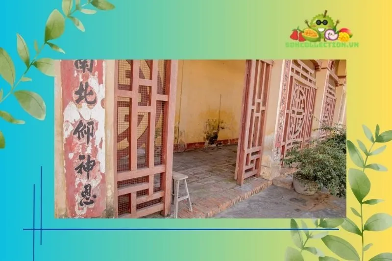 Đình Trung trong bối cảnh văn hóa Tiền Giang