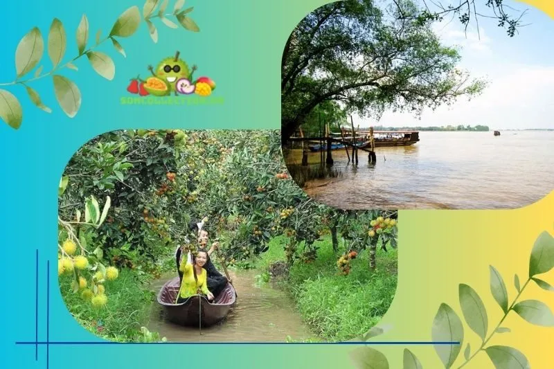 Đôi nét về tứ linh cồn Long Lân Quy Phụng