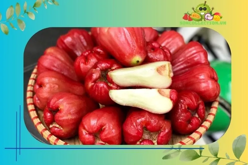 Giá cả và nơi mua Mận