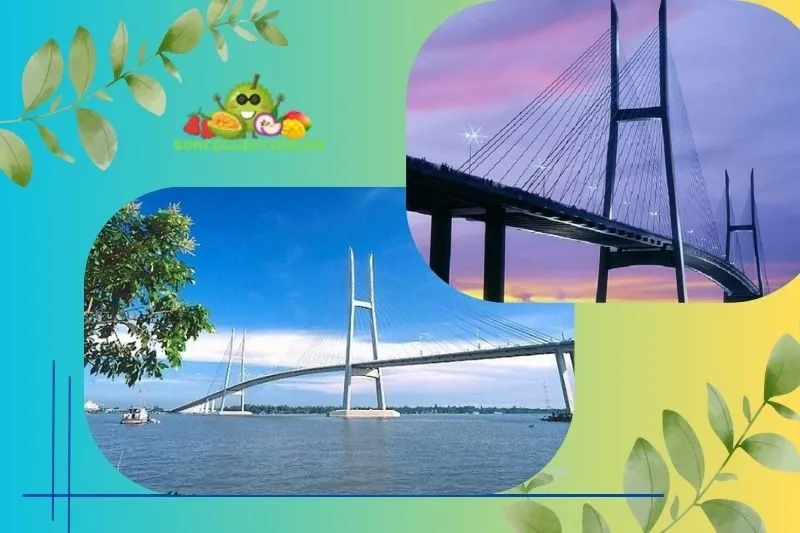 Giới thiệu cầu Mỹ Thuận