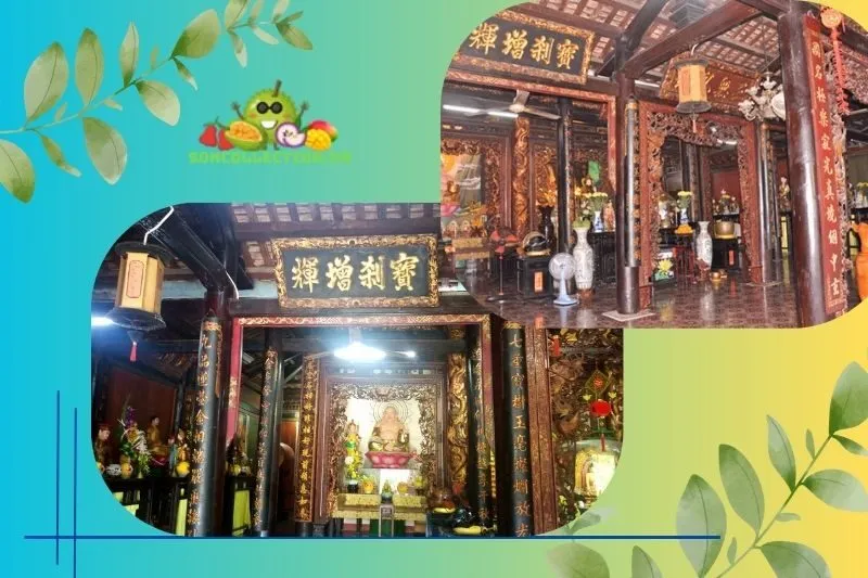 Giới thiệu chung