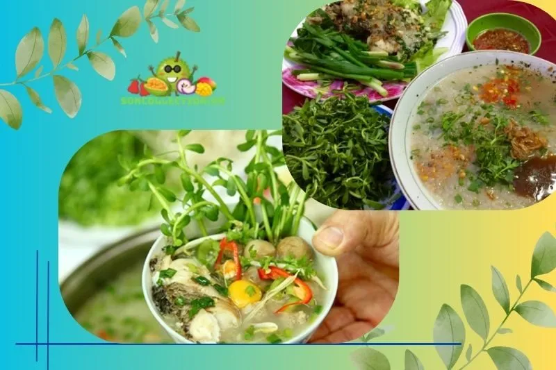 Giới thiệu chung cháo cá lóc rau đắng