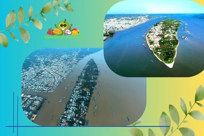 Giới thiệu Cồn Long