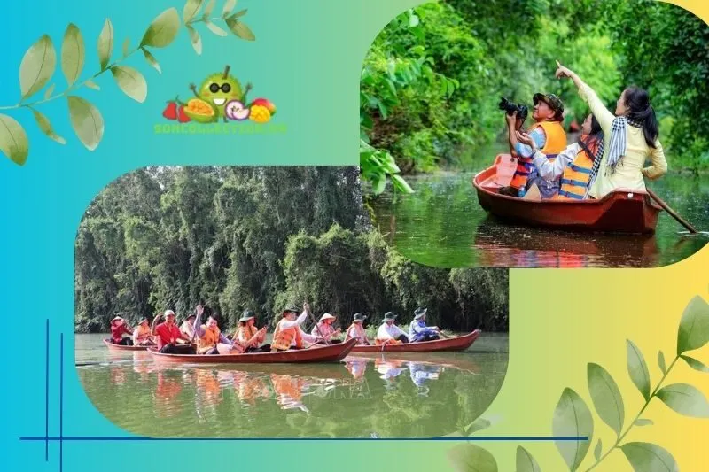 Giới thiệu Khu bảo tồn sinh thái Đồng Tháp Mười