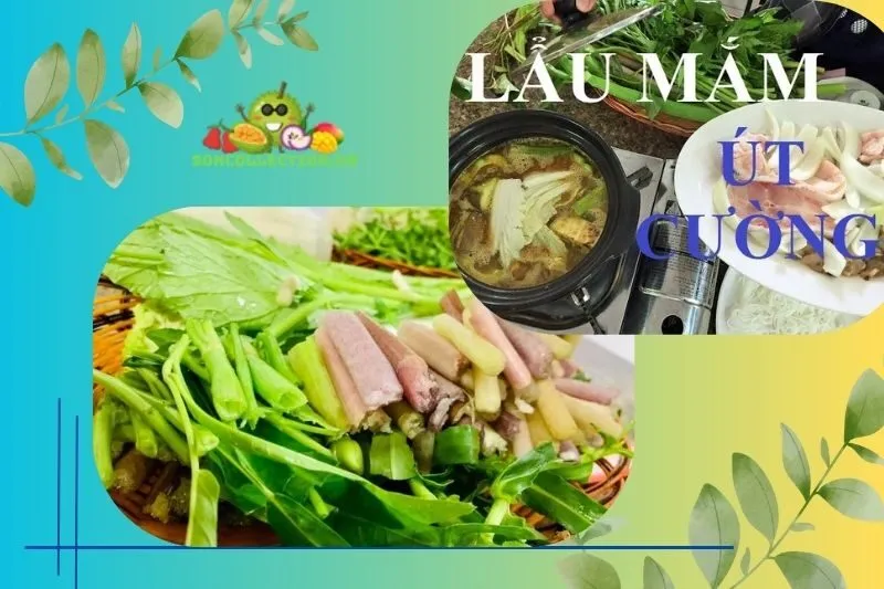 Giới thiệu quán Lẩu mắm Út Cường