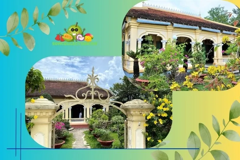 Giới thiệu về Nhà cổ Ba Đức Tiền Giang