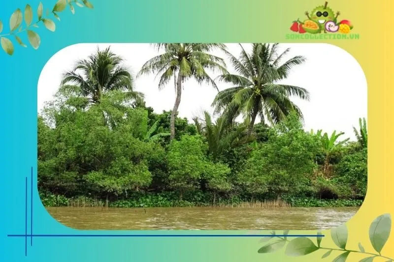 Hướng dẫn di chuyển