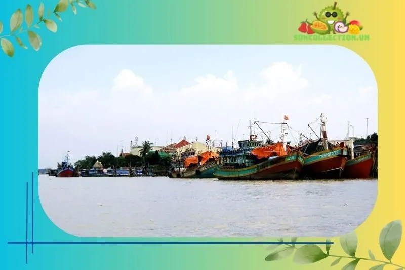 Hướng dẫn di chuyển
