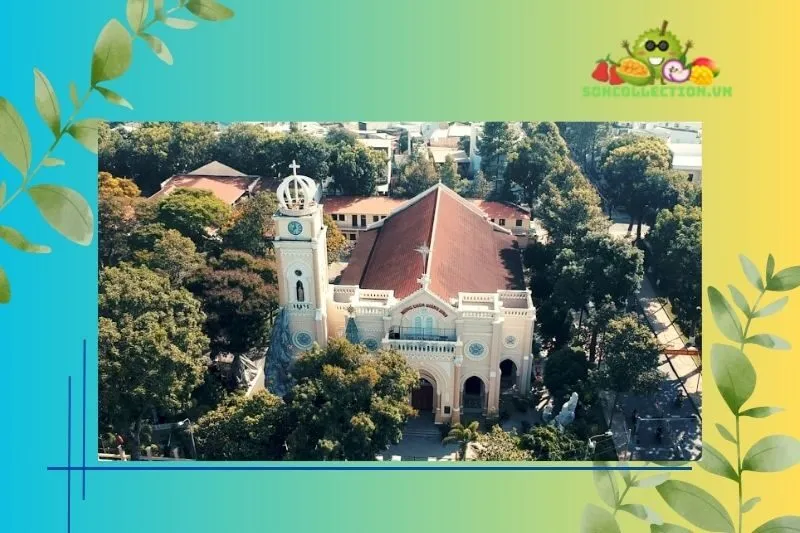 Lịch sử hình thành và phát triển