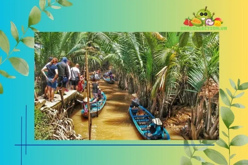 Một số lưu ý khi du lịch tứ linh cồn Long Lân Quy Phụng