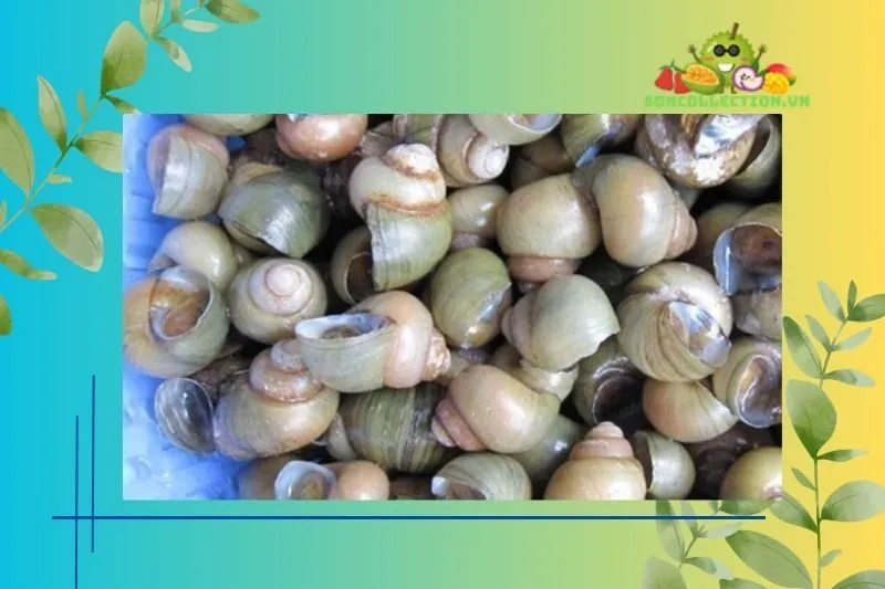 Những món ăn đặc sản khác tại Tiền Giang