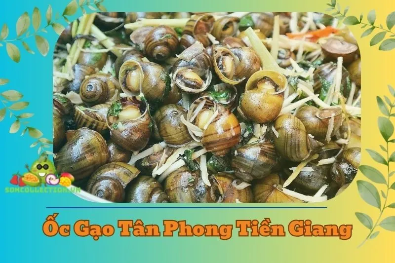 Ốc Gạo Tân Phong Tiền Giang
