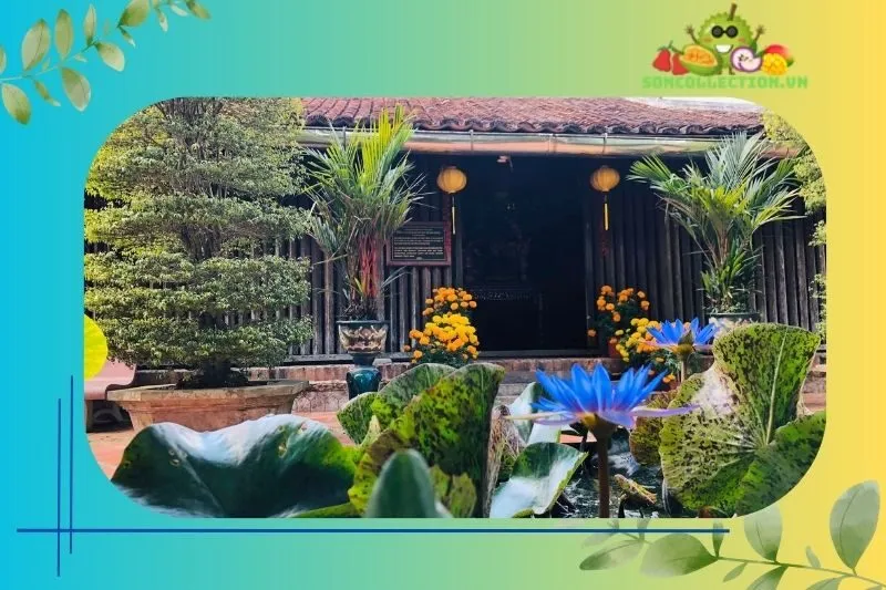 Tham Quan Và Trải Nghiệm